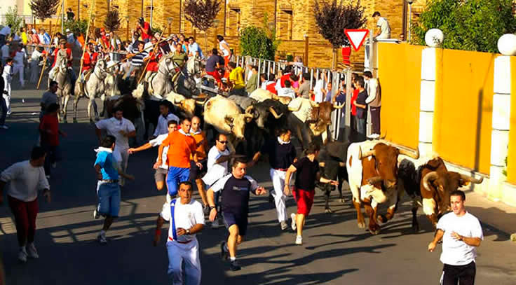 Fiestas de San Antolín Fiestas de San Antolín